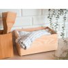 Dreveny box 30 20 14 cm