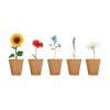 Blumenzuchtset
