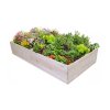56617 dreveny vyvyseny zahon 240 x 100 x 40 cm