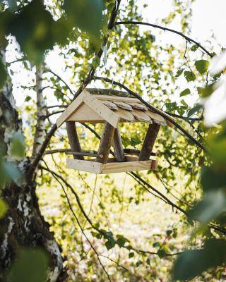 Ein Vogelhaus ist ein kleines Häuschen, aber es hat eine wirklich große Bedeutung 🐦 Jedes Häuschen im Garten bedeutet: 🌳...