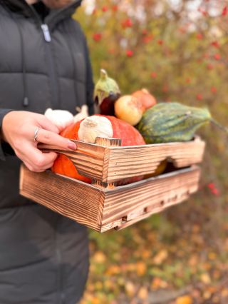 🍂 Die Erntezeit ist da! 🍏 Obst, Gemüse und Kräuter verdienen ein stilvolles und praktisches Zuhause – dafür sind...